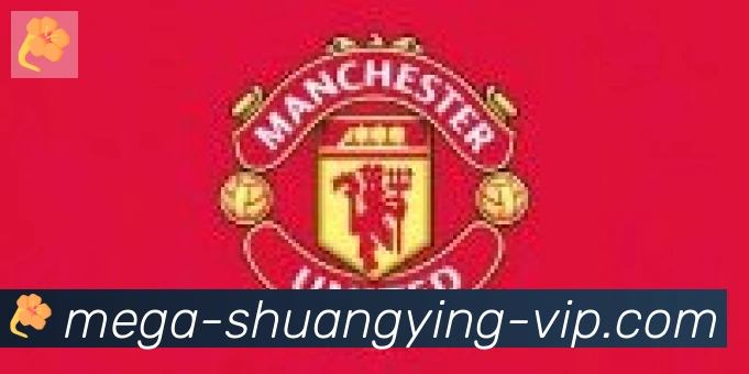 双赢彩票入口合作伙伴